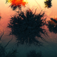 Image for article titled Cancer, The Video Game